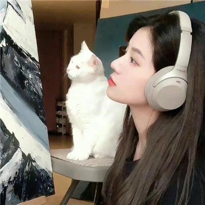 光荣的迷惑